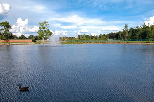 Lake in Douglasville Georgia